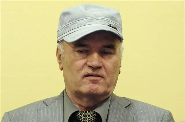 Сын генерала Младича рассчитывает на рассмотрение его дела Совбезом ООН