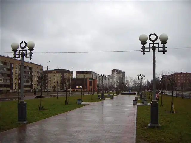 В Гатчине Ленобласти появится новая Курчатовская специализированная школа