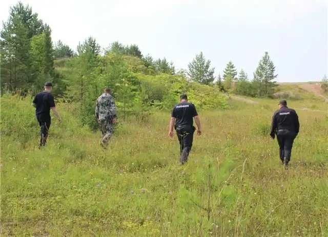 Пожилой житель Пермского края пропал в лесу во время сбора грибов и вылез только спустя почти четыре дня