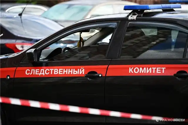 Следствие возбудило уголовные дела после нападений на склады Wildberries в Удмуртии и Пензенской области