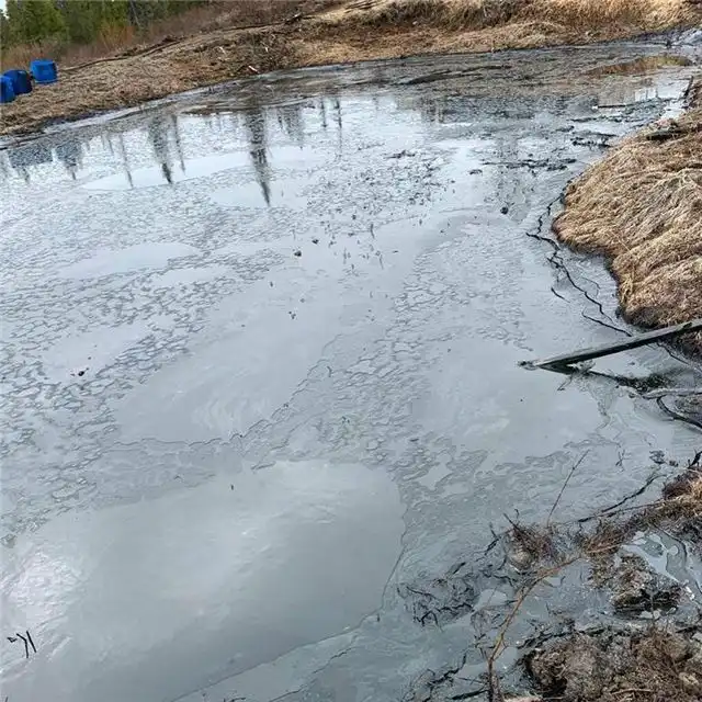 Бактерии из СурГУ помогут очистить северные почвы от нефтяных загрязнений
