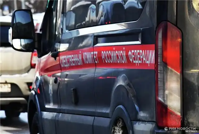 Девочка из многодетной семьи с нарушением слуха погибла в болоте под Петербургом